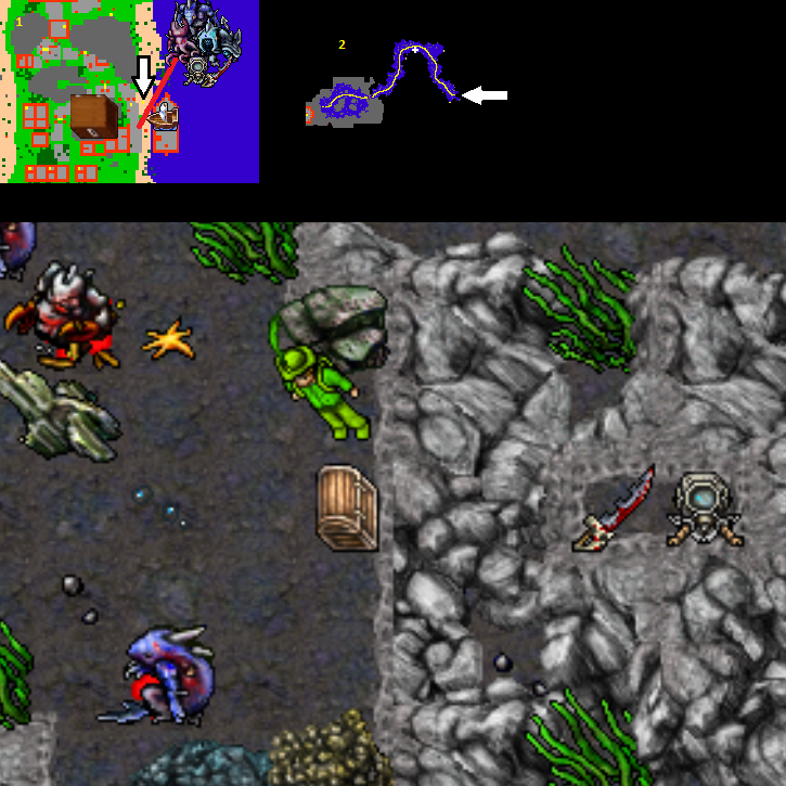 Life Ring Quest/Spoiler – Tibia Wiki